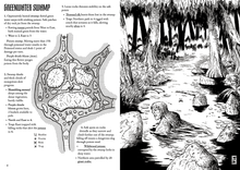 Load image into Gallery viewer, Runecairn Hardcover Bundle