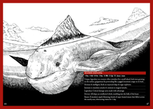 Load image into Gallery viewer, Runecairn Bestiary (PDF)